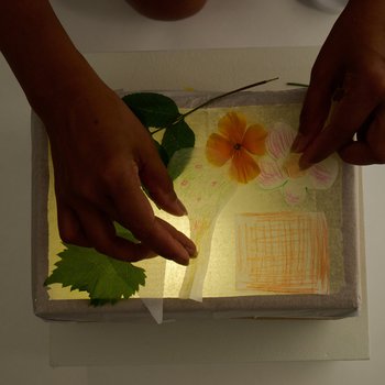 A hand adding leaves to the top of a homemade light box.