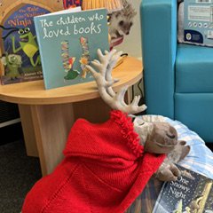 A toy moose wearing a Story Snuggler in the library
