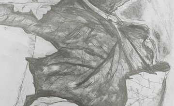 Pencil drawing of leaf