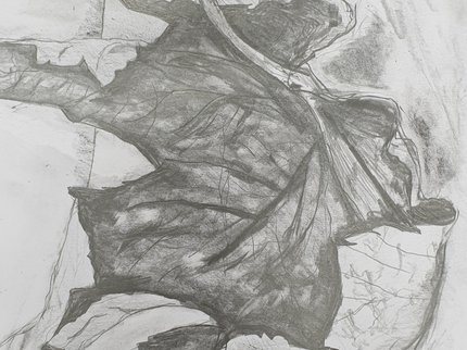 Pencil drawing of leaf