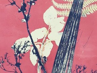 Pink background with mono printing of black and cream bontanicals