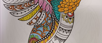 A drawing of a bird coloured in
