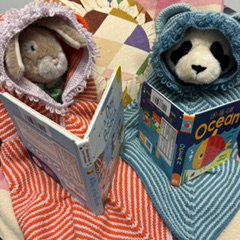 Rabbit and panda are cosily reading their books in the library