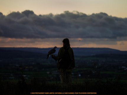 Women holding a hawk looking into distance