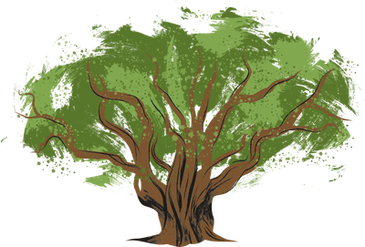 M2M_MAJOR_OAK_illo.png