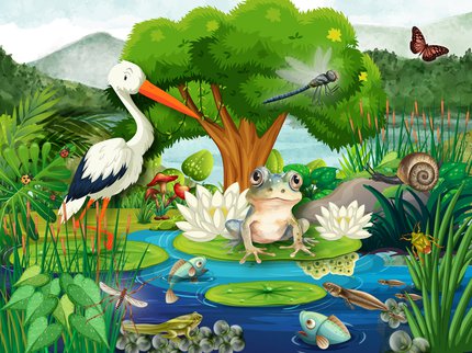 Image of a pond surrounded by lots of greenery and animals