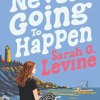 It’s Never Going to Happen by Sarah G. Levine