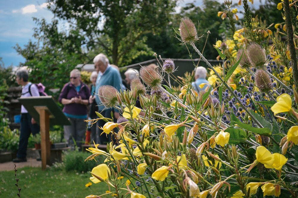 Flower border with people in the background