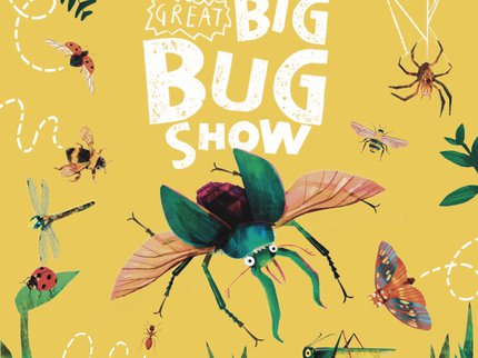 Illustrated image of a green flying beetle on a yellow background. White text reads The Great Big Bug Show.