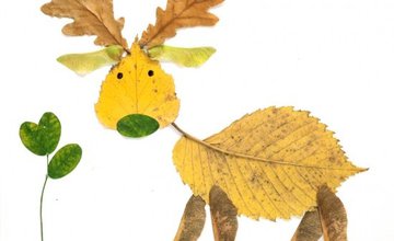 An outline of a deer made out of autumn leaves