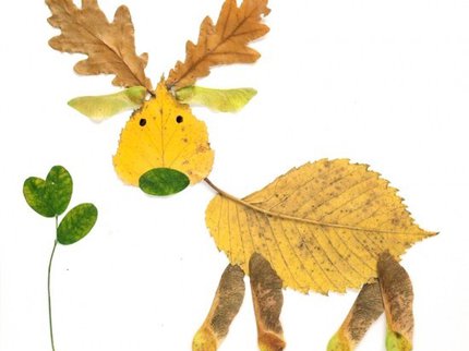 An outline of a deer made out of autumn leaves
