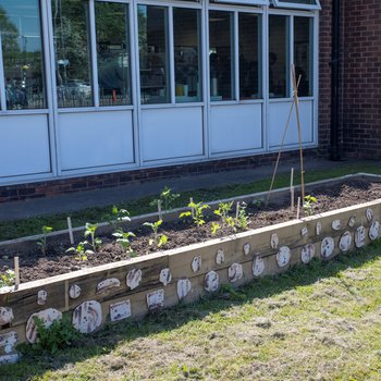 Bircotes library green space