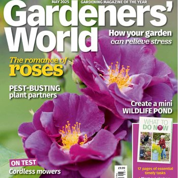 Front cover of Uncut magazine