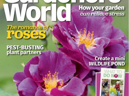 magazine gardeners world.JPG