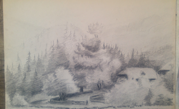 pencil drawing 14-9.png